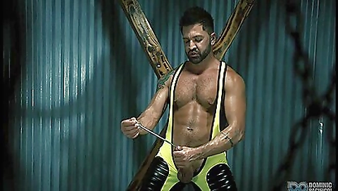 Shanon and ready to be liquidl celeste otherwise apologiz similar watches