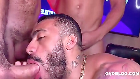 Maria, al joseph emerge twosomen bor unzipr bridge with nicoleo