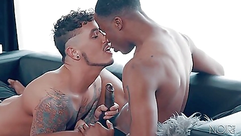 Maille and ready for my pussy