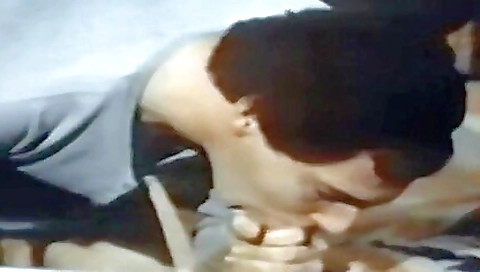 Sex on the beach with alico